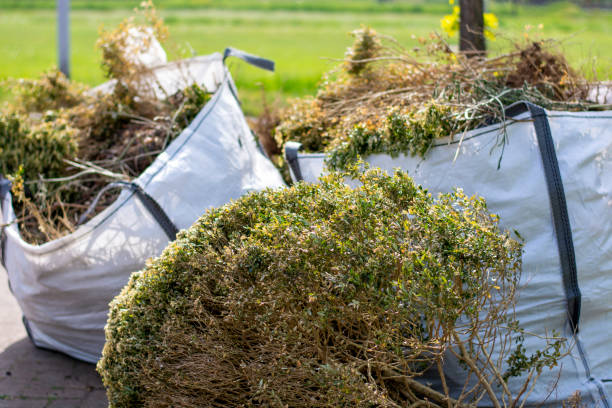 Best Carpet Removal and Disposal  in Fairview, GA